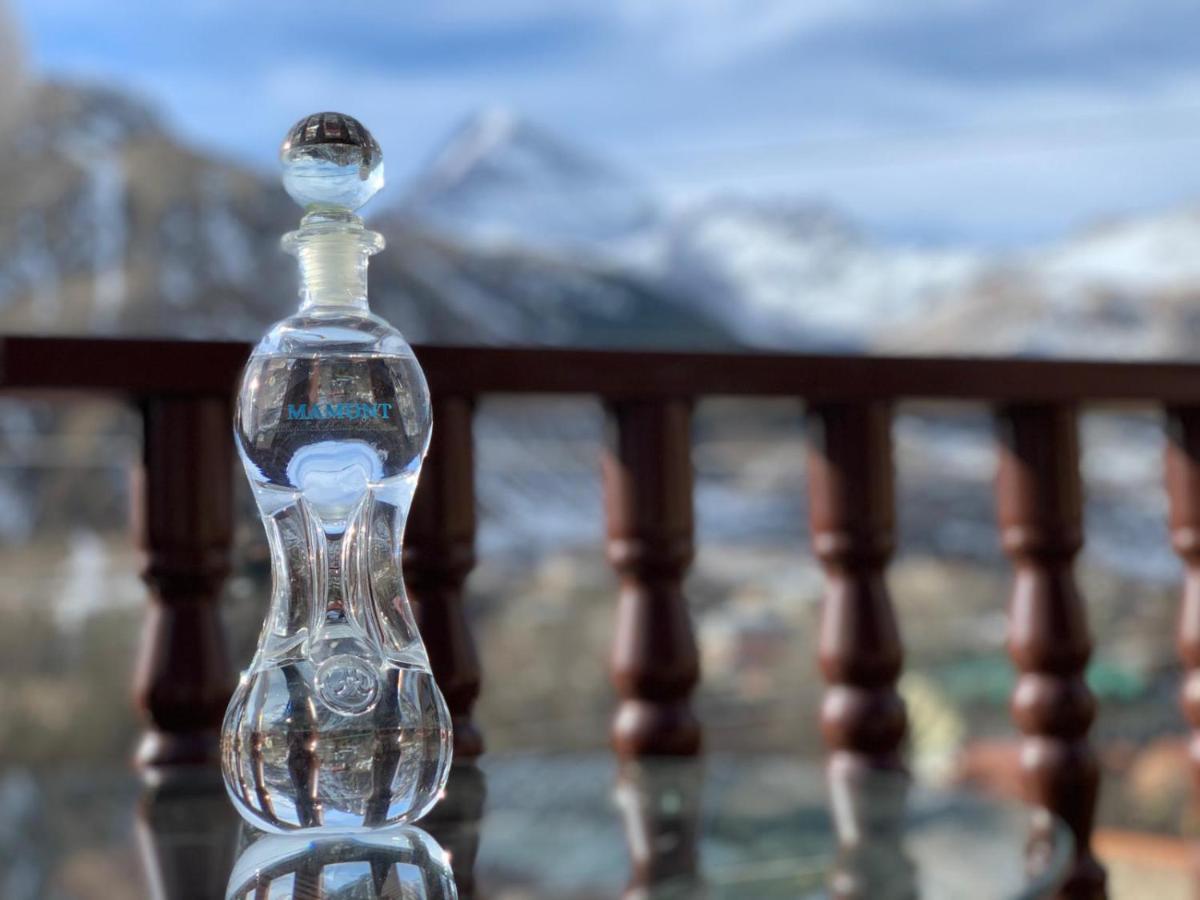 Eastern Georgia Hotel Kazbegi ภายนอก รูปภาพ